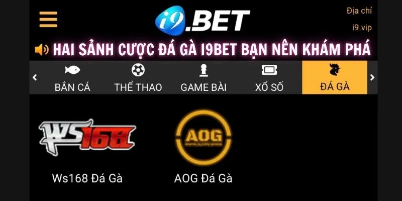 Những điểm nổi bật trong hai địa phận đá gà cực hay tại i9BET
