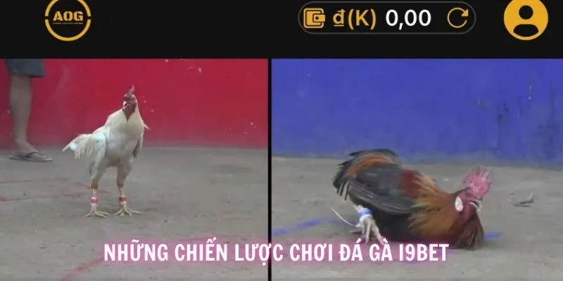 Chiến lược cần chú ý để bắt trận nào ăn kèo trận đó