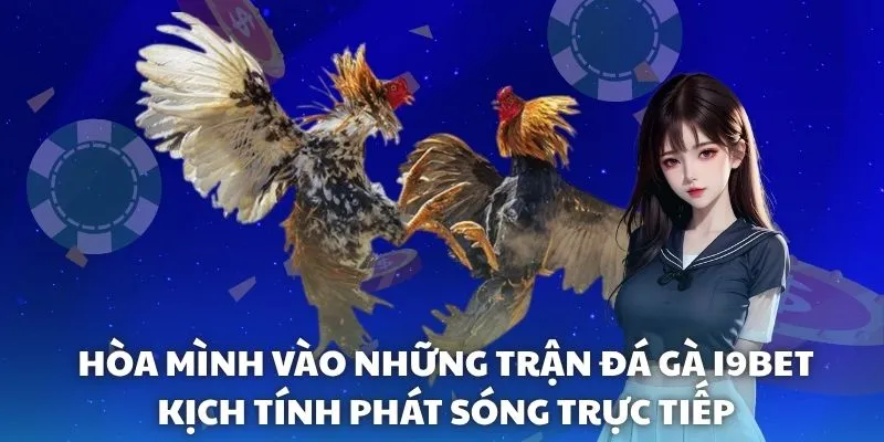 Hòa mình vào những trận Đá gà i9BET kịch tính phát sóng trực tiếp Hòa mình vào những trận Đá gà i9BET kịch tính phát sóng trực tiếp