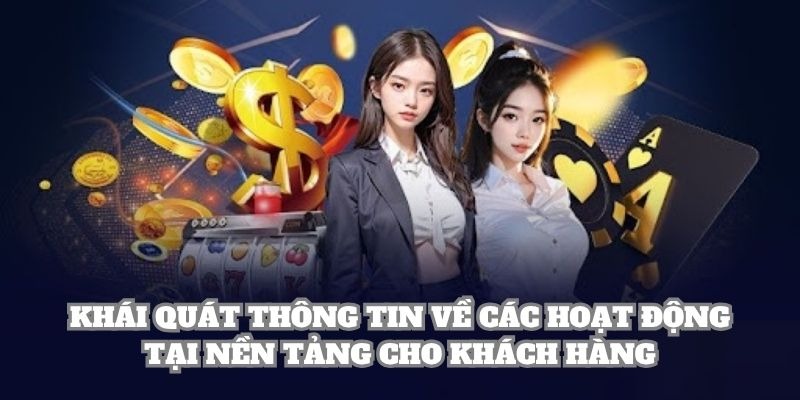 Khái quát thông tin về các hoạt động tại nền tảng cho khách hàng