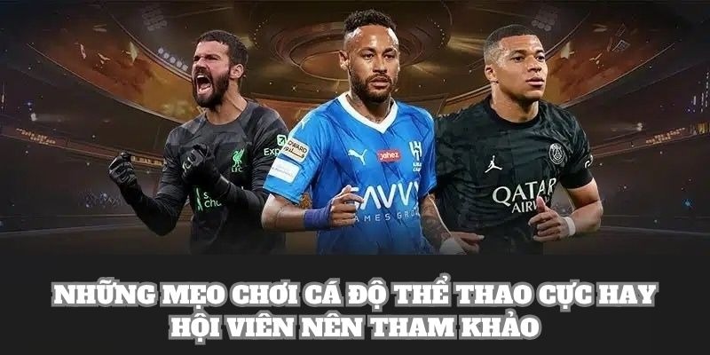 Những mẹo chơi cá độ thể thao cực hay hội viên nên tham khảo