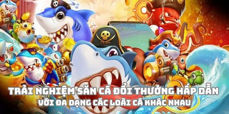 Trải nghiệm săn cá đổi thưởng hấp dẫn với đa dạng các loài cá khác nhau