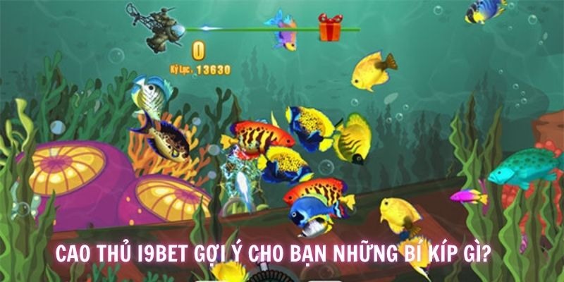 Hãy cố gắng mua đầy đủ vũ khí nhưng không có nghĩa là mua thừa thãi