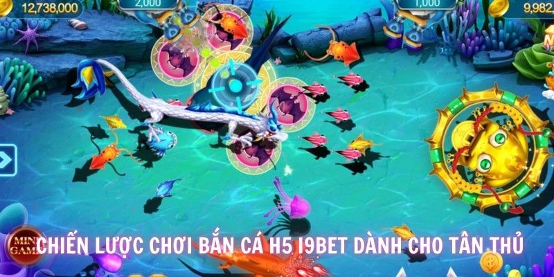 Một vài bí kíp để bạn luyện tập trở thành ngư thủ trong tương lai