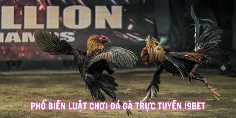 Tìm hiểu tổng quan về luật chơi cùng các cửa cược game chọi kê i9BET