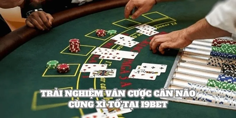 Trải nghiệm ván cược cân não cùng Xì Tố tại i9BET